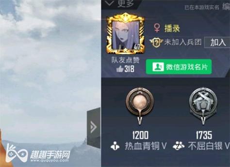 和平精英辅助《VR》ios支持全机型使用